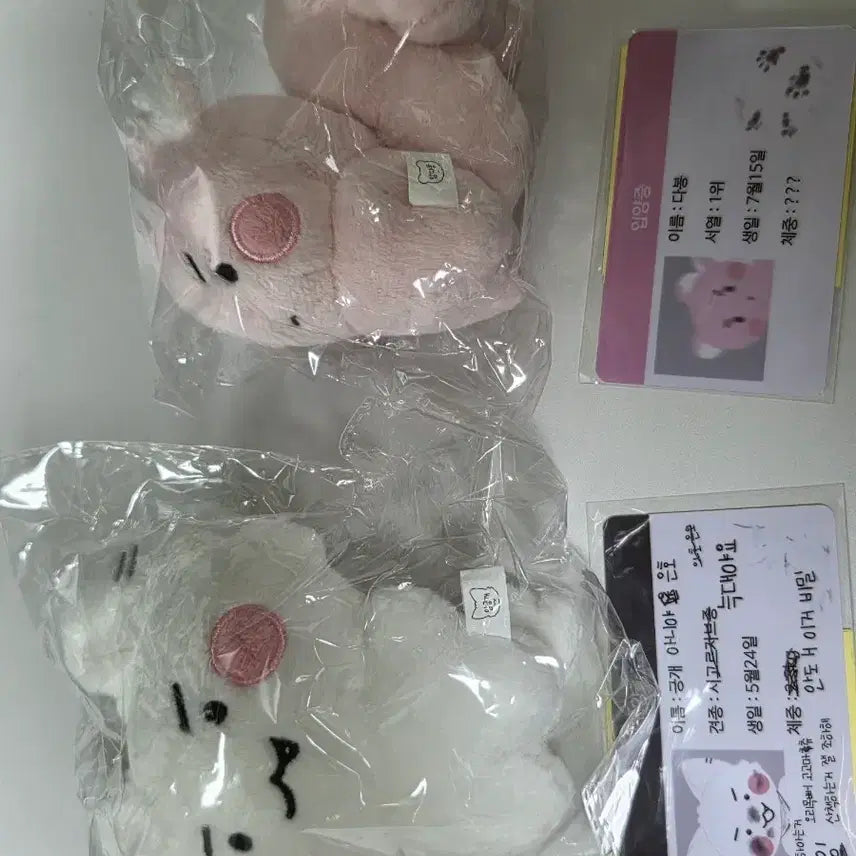 [BUNJANG] BTS Army Bomb Sealt Bundle Set / 암긍개 암다봉 일괄