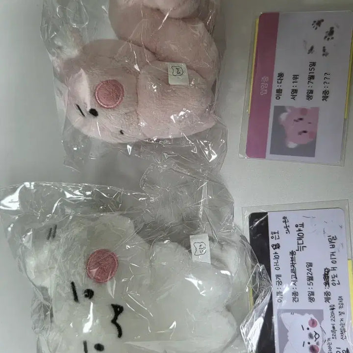 [BUNJANG] BTS Army Bomb Sealt Bundle Set / 암긍개 암다봉 일괄