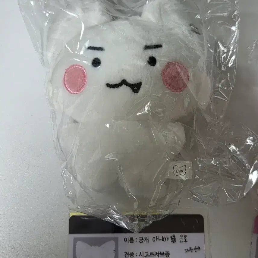 [BUNJANG] BTS Army Bomb Sealt Bundle Set / 암긍개 암다봉 일괄