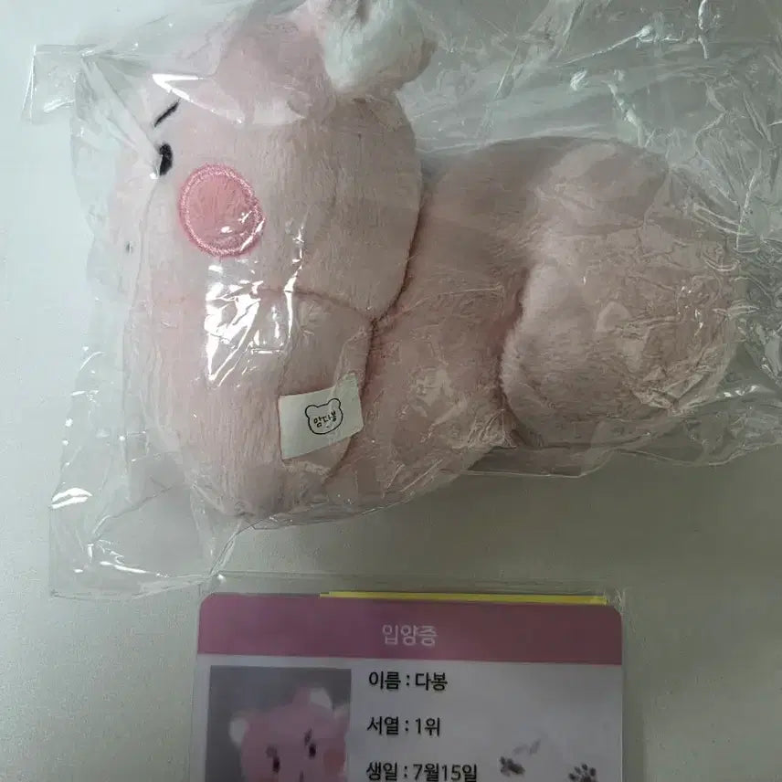 [BUNJANG] BTS Army Bomb Sealt Bundle Set / 암긍개 암다봉 일괄
