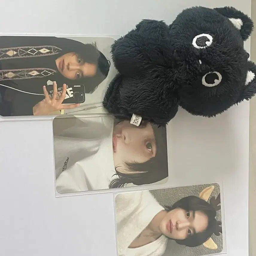 [BUNJANG] RIIZE Wonbin Photocard Bundle Set / 냥삐 인형 원빈 포카 일괄