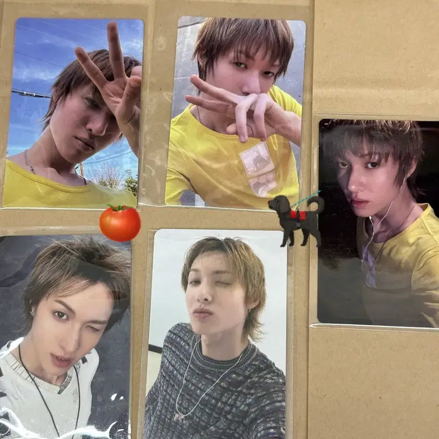 [BUNJANG] Seventeen Mingyu Core Zone Weverse Hello Live Set Photocard / 마틴 포카 코어존 위버스 헬로라이브 세트