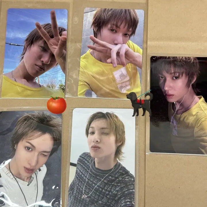 [BUNJANG] Seventeen Mingyu Core Zone Weverse Hello Live Set Photocard / 마틴 포카 코어존 위버스 헬로라이브 세트