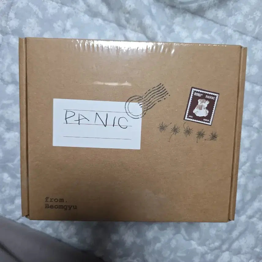 [BUNJANG] TXT Yeonjun Panic! At The Disco Album / 범규 Panic 앨범