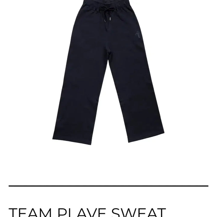 [BUNJANG] Team Playve Navy Pants L Size / 팀 플레이브 네이비 바지 L 사이즈 원가 이하양도