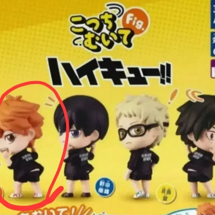 [BUNJANG] Haikyuu Hinata Shoyo &