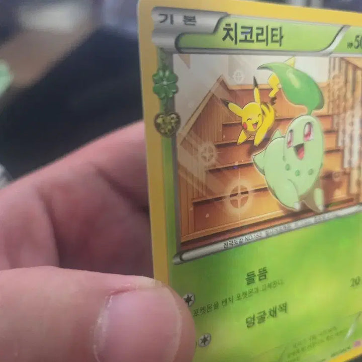 [BUNJANG] Chikorita 001/032 C - Heart-Fluttering Collection / 한글판 심쿵 치코리타 001/032 C
