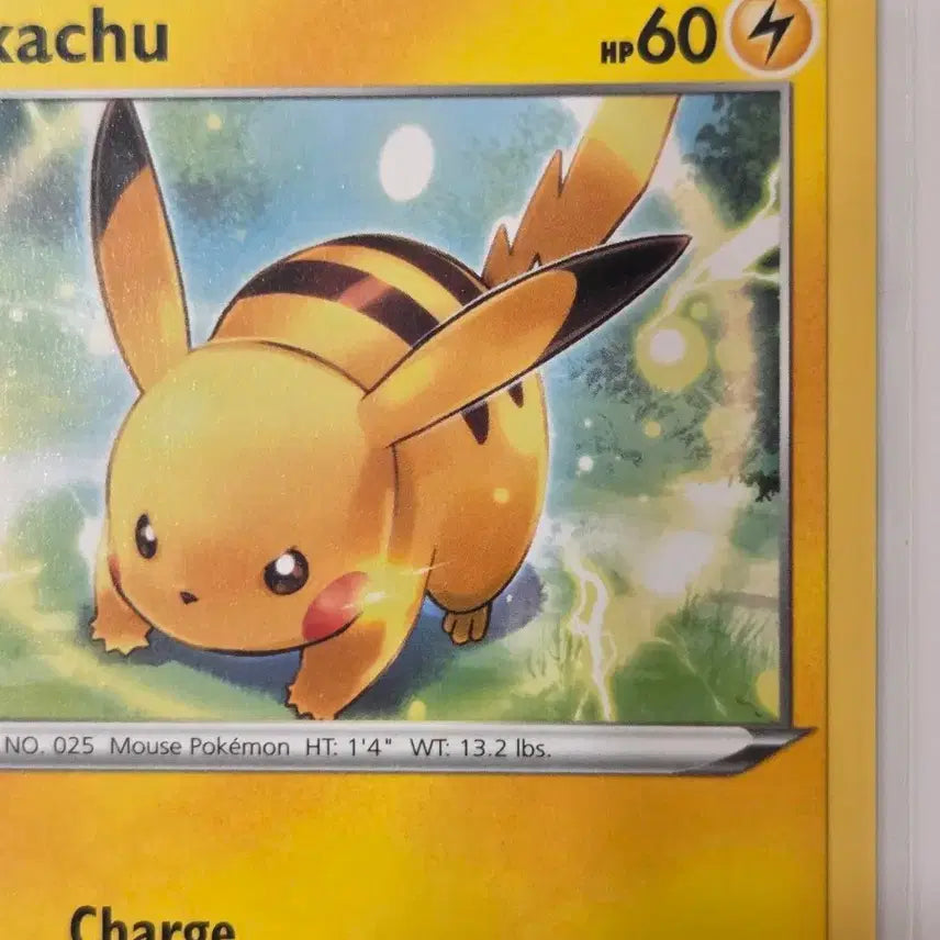 [BUNJANG] Pokemon TCG Pikachu 065/202 Sword &amp; Shield Base Set English / "포켓통통"[북미판] (현재단종템)2020년 피카츄 포켓몬카드 Sword &amp; Shield 065/2022 영문 정품