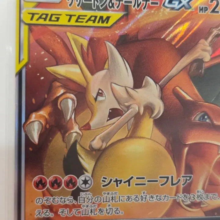 [BUNJANG] Pokémon TCG Charizard &amp; Braixen GX TAG TEAM RR 008/064 / [일판] 포켓몬카드 태그팀 리자몽&amp; 테르나 GX TAG TEAM 008/064 RR