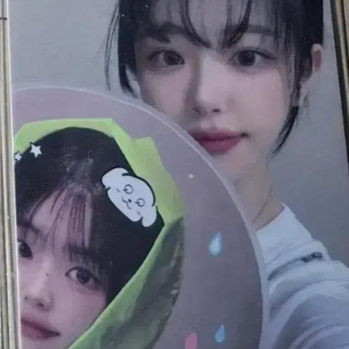 [BUNJANG] QWER Cho-dan Fan Bundle Set Photocard / 일괄 qwer 쵸단 부채 우치와 포카