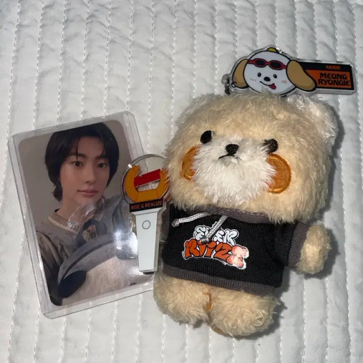 [BUNJANG] RIIZE Anton Everland Photocard / 라이즈 RIIZE 앤톤 ANTON 에버랜드 인형 키링 원가이하 라이즈 성찬 원빈 은석 소희 쇼타로