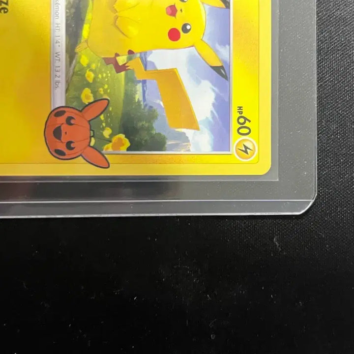 [BUNJANG] Pokemon 2022 Halloween Pikachu North America / (북미할로윈) 2022 할로윈 피카츄 판매합니다!! 상태 좋습니다 2
