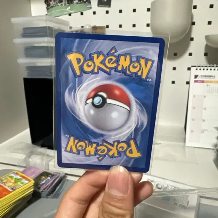 [BUNJANG] Squirtle Monster Ball Card / 꼬부기 몬스터볼카드