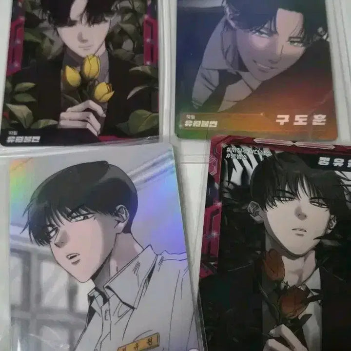 [BUNJANG] Yuwon Bulbyeon Trading Card Bundle Set / 유원불변 트레카 카드 일괄 레진공 레진수 레봄