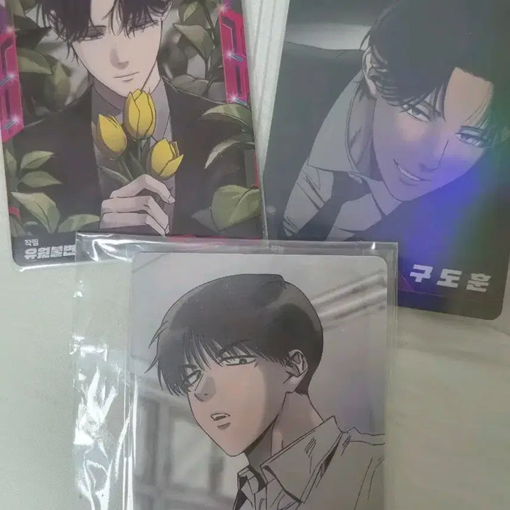 [BUNJANG] Yuwon Bulbyeon Trading Card Bundle Set / 유원불변 트레카 카드 일괄 레진공 레진수 레봄