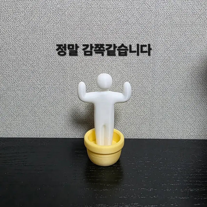 [BUNJANG] Mecha Chameleon 5-Piece Set / 메챠 카멜레온 5종 일괄