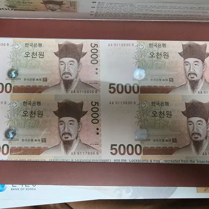 [BUNJANG] Bank of Korea 5,000 Won Uncut Banknote - 4-Panel Series / 한국은행 오천원권 4면 연결형 은행권