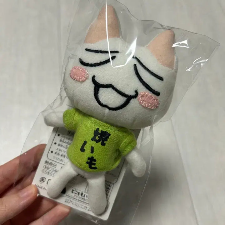 [BUNJANG] Tokidoki Dokodemo Issho Toro Plush / 고전 도코데모잇쇼 토로 인형