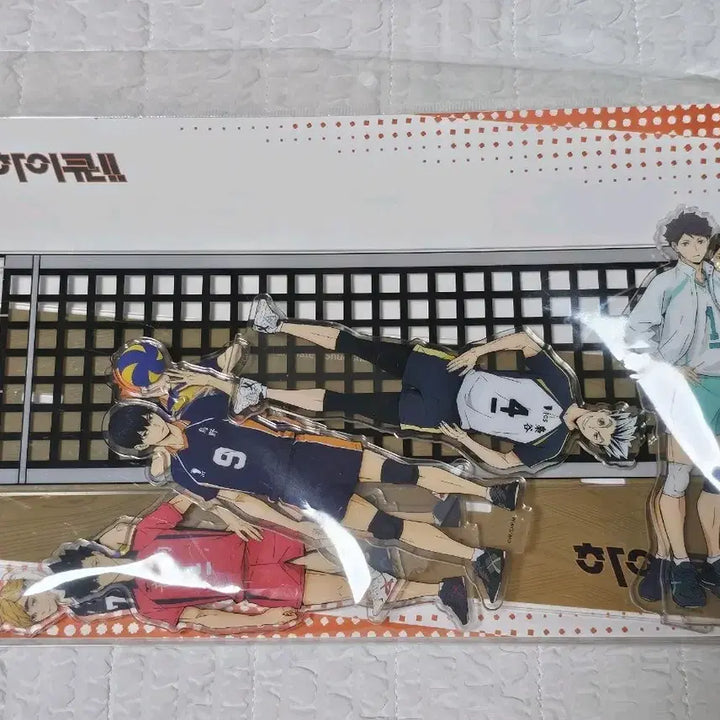[BUNJANG] Haikyuu!! All-Star Diorama Acrylic Stand / 미개봉)하이큐 올스타 디오라마 아크릴 스탠드 더현대 팝업