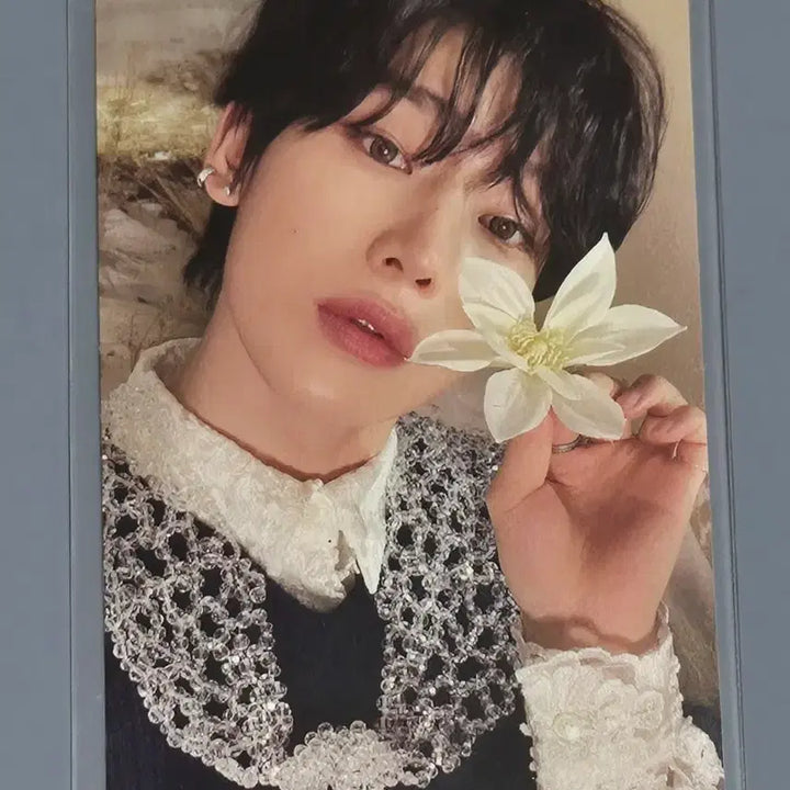 [BUNJANG] ENHYPEN Sunoo Orange Blood Kalpa Photocard / 엔하이픈 선우 오렌지블러드 칼파 포카 양도