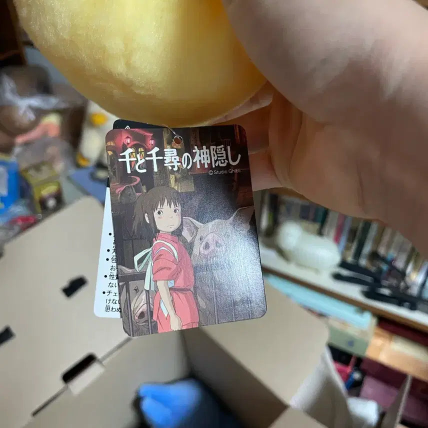 [BUNJANG] Studio Ghibli Otori-sama Plush Doll / 지브리 센치행 오오토리사마 인형 (매물x, 택 ㅇ)