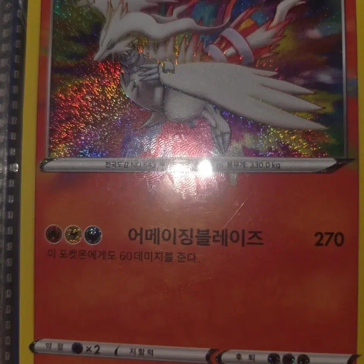 [BUNJANG] Pokemon Card Reshiram Amazing Blaze / 포켓몬 카드 레시라무 어메이징블레이즈