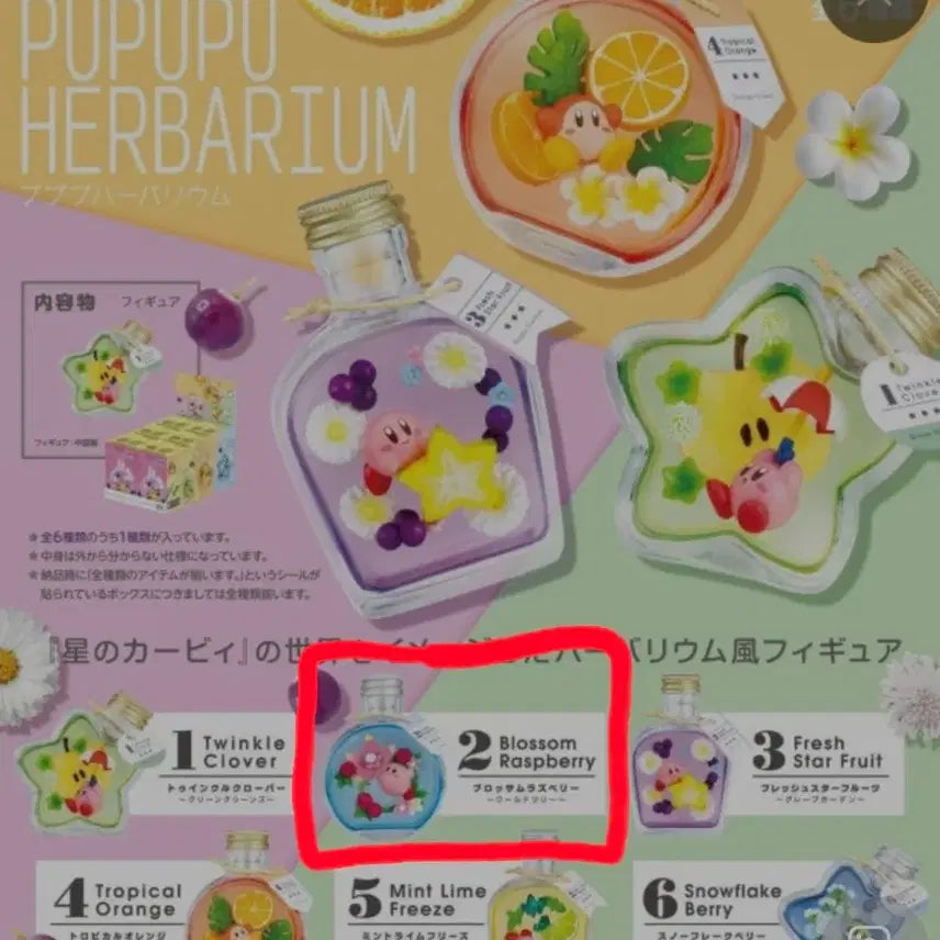 [BUNJANG] Kirby Herbarium Figure No. 2 Blossom Raspberry / 별의커비 허바리움 피규어 2번 블라썸 라즈베리