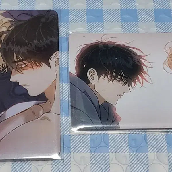 [BUNJANG] Le Bom Baegya-ui Kkotgil Bundle Set Photocards / 레봄 백야의꽃길 특전 5장 일괄