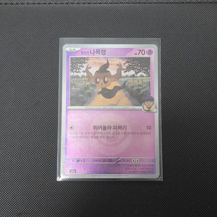 [BUNJANG] Pokemon Card Hob&