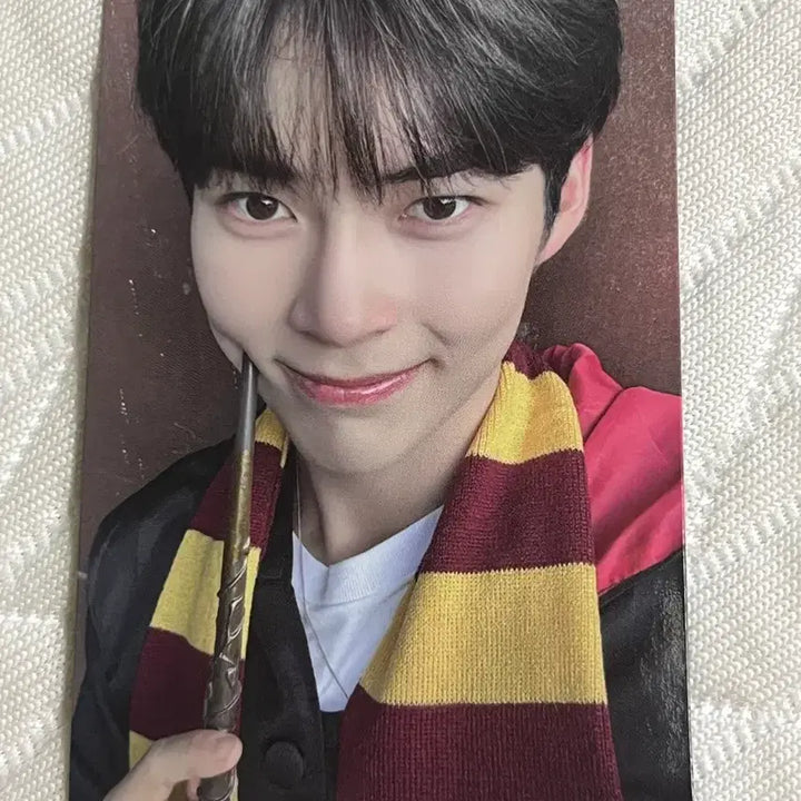 [BUNJANG] ZEROBASEONE Sung Hanbin Harry Potter Photocard / 제로베이스원 성한빈 해리포터 포카 판매합니다