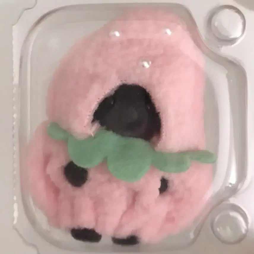 [BUNJANG] Baby Clothes Accessory Set / 실바니안 아기 옷 의상 소품