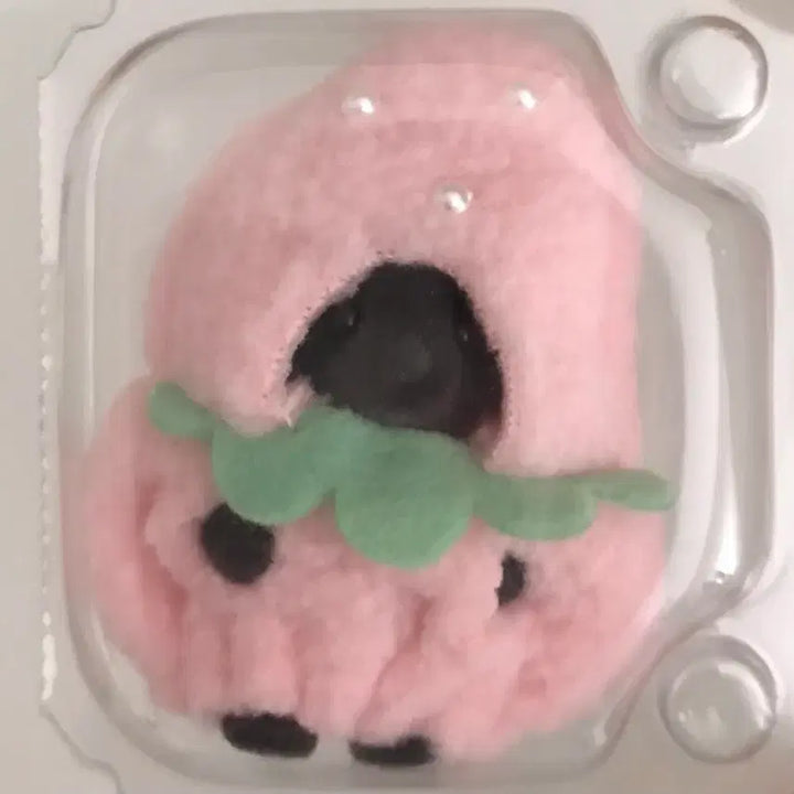 [BUNJANG] Baby Clothes Accessory Set / 실바니안 아기 옷 의상 소품