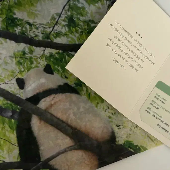 [BUNJANG] Fu Bao Signature Chiffon Poster ID Card Bundle Set / 푸바오 시그 쉬폰포스터 아이디카드 일괄