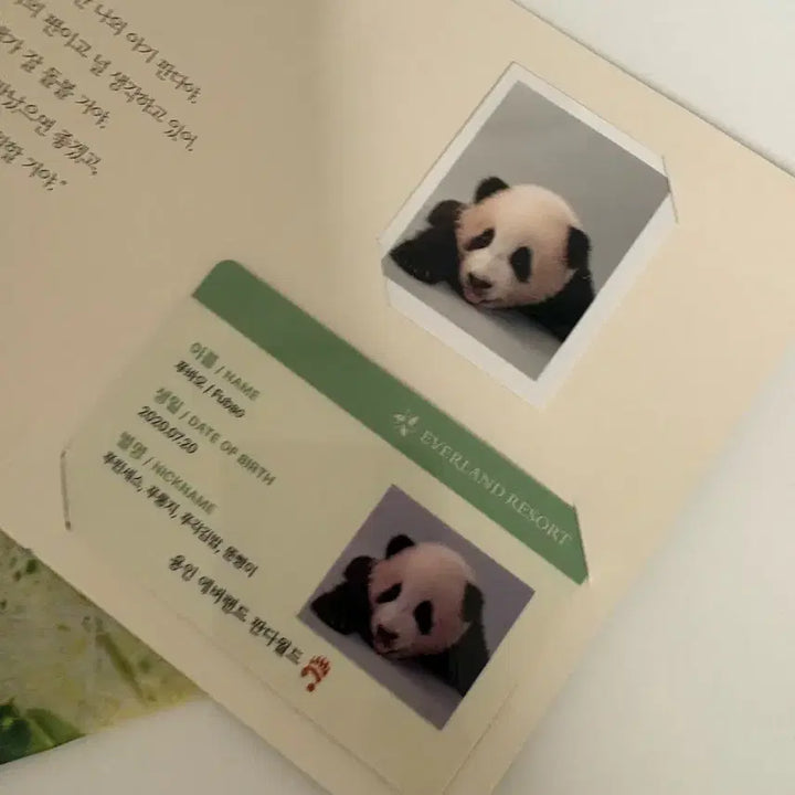 [BUNJANG] Fu Bao Signature Chiffon Poster ID Card Bundle Set / 푸바오 시그 쉬폰포스터 아이디카드 일괄