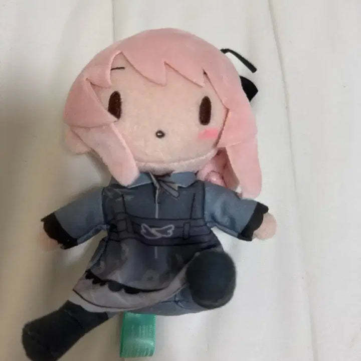 [BUNJANG] Akiyama Mizuki Plush Doll / 아키야마 미즈키 누이