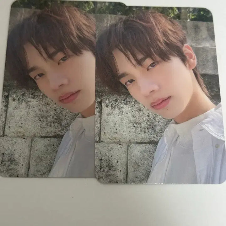 [BUNJANG] TWS Shinyu POB Photocard / 투어스 TWS 신유 미공포 양도