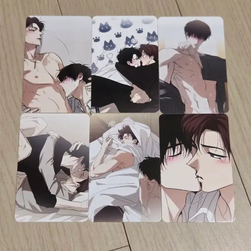 [BUNJANG] Hoho Sangbak Bundle Set Photocards / 호호상박 포카 6종 일괄