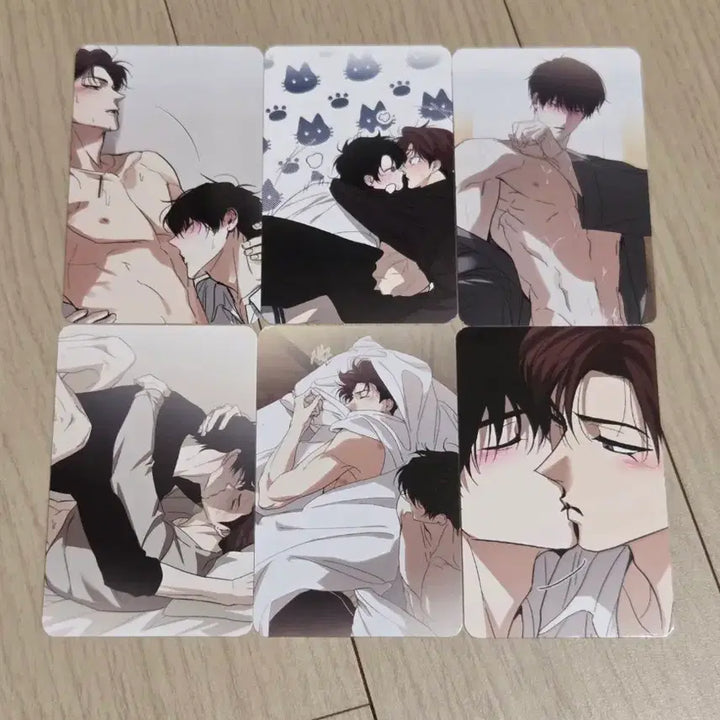 [BUNJANG] Hoho Sangbak Bundle Set Photocards / 호호상박 포카 6종 일괄