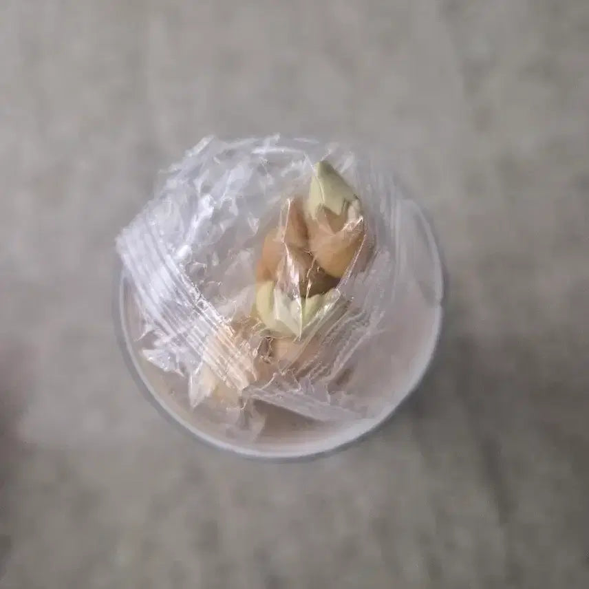 [BUNJANG] Pokemon Poké Ball Drink Figure (Eevee) / 포켓몬 몬스터볼 음료수 피규어(이브이)