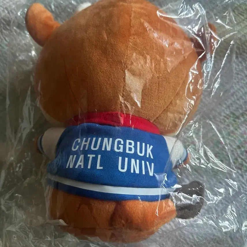 [BUNJANG] Chungbuk National University Mascot Himchani Calf Doll (Sealed) / 충북대학교 마스코트 소 힘찬이 인형 미개봉