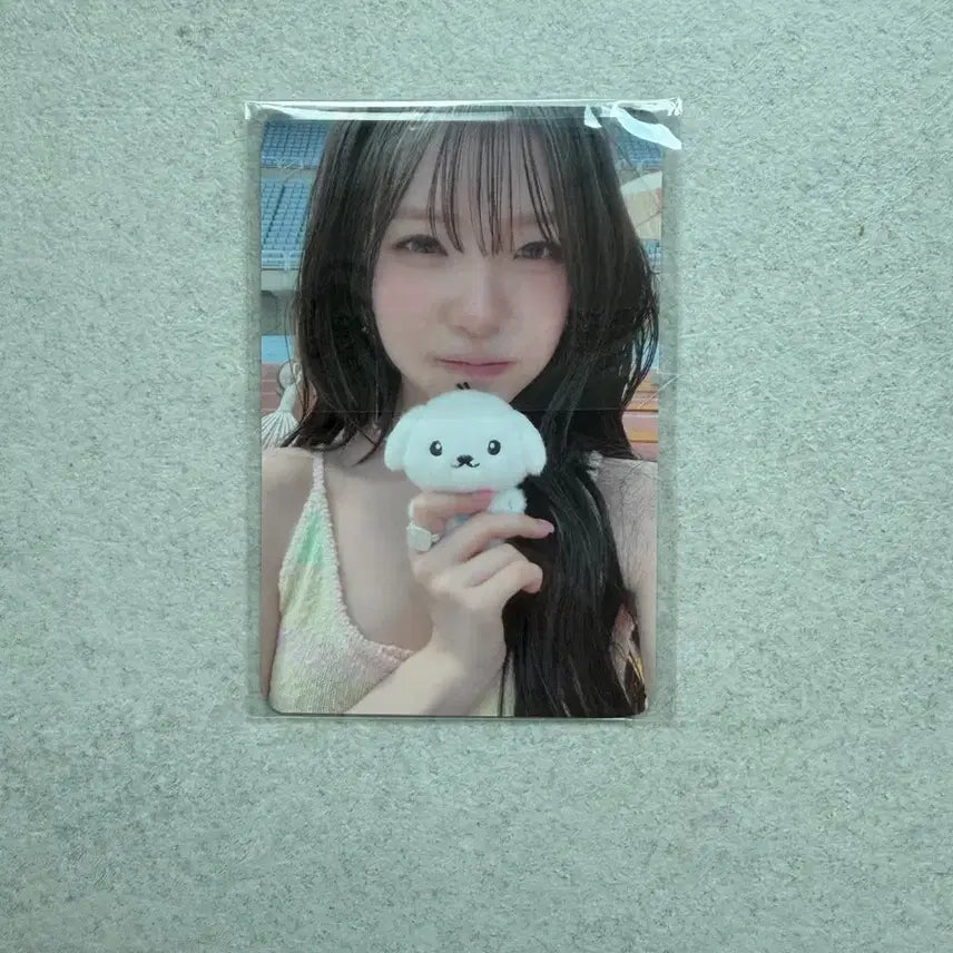 [BUNJANG] fromis_9 Baek Ji-heon Popup Album Lucky Draw POB / 프로미스나인 백지헌 팝업 앨범 럭드 특전 양도