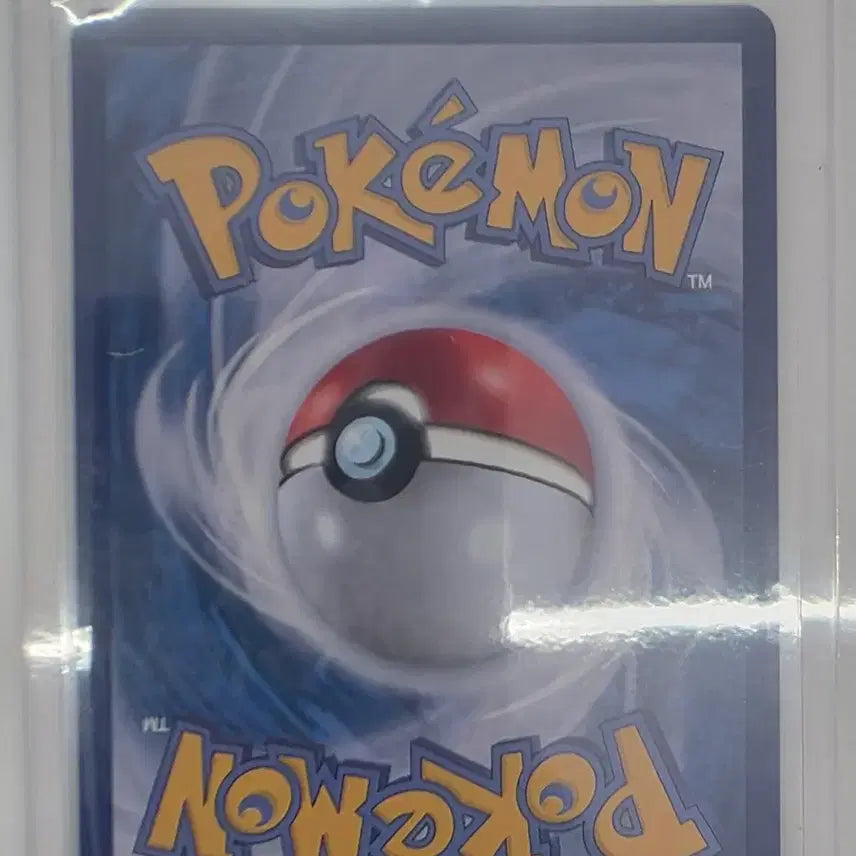 [BUNJANG] Pokemon Card Turtwig AR / 포켓몬카드 팽도리 AR