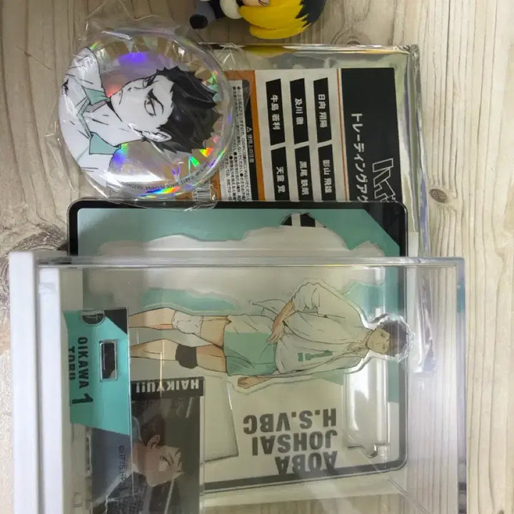 [BUNJANG] Aoba Josai Oikawa Acrylic Stand / 아오바죠사이 오이카와 아크릴 판매