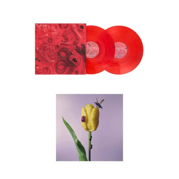 [BUNJANG] Aimyon 1st &amp; 3rd Album LP Bundle Set / 아이묭 1집, 3집 LP 일괄