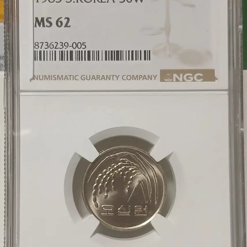 [BUNJANG] 1985 South Korean 50 Won Coin - Graded 62 Uncirculated / 1985년 50원 62등급   미사용