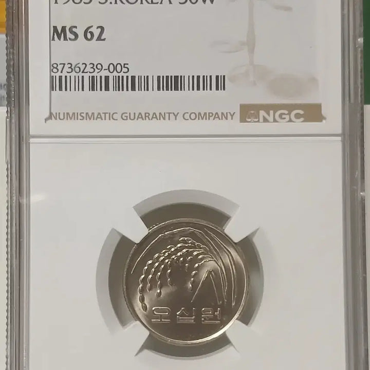 [BUNJANG] 1985 South Korean 50 Won Coin - Graded 62 Uncirculated / 1985년 50원 62등급   미사용