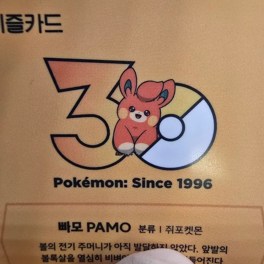 [BUNJANG] PAMO Pokemon 30th Anniversary Limited Edition Eazzle Transportation Card / 빠모 포켓몬 30주년 한정판 이즐 교통카드