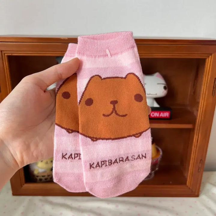 [BUNJANG] Capybara Socks / 카피바라상 양말