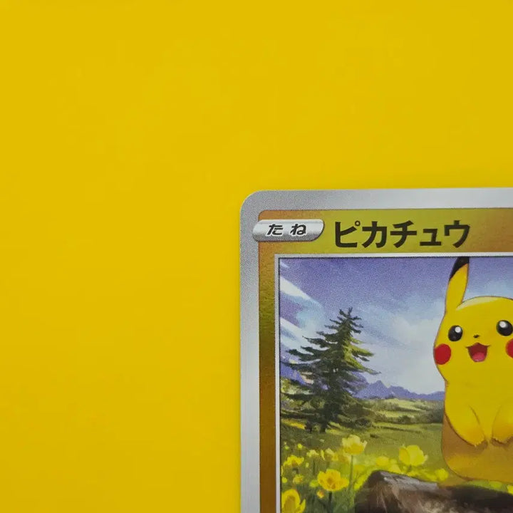 [BUNJANG] Pokémon Card Game Starter Deck 100 Pikachu Mirror Japanese Edition / 포켓몬카드 스타트덱100 피카츄 미러 일본판