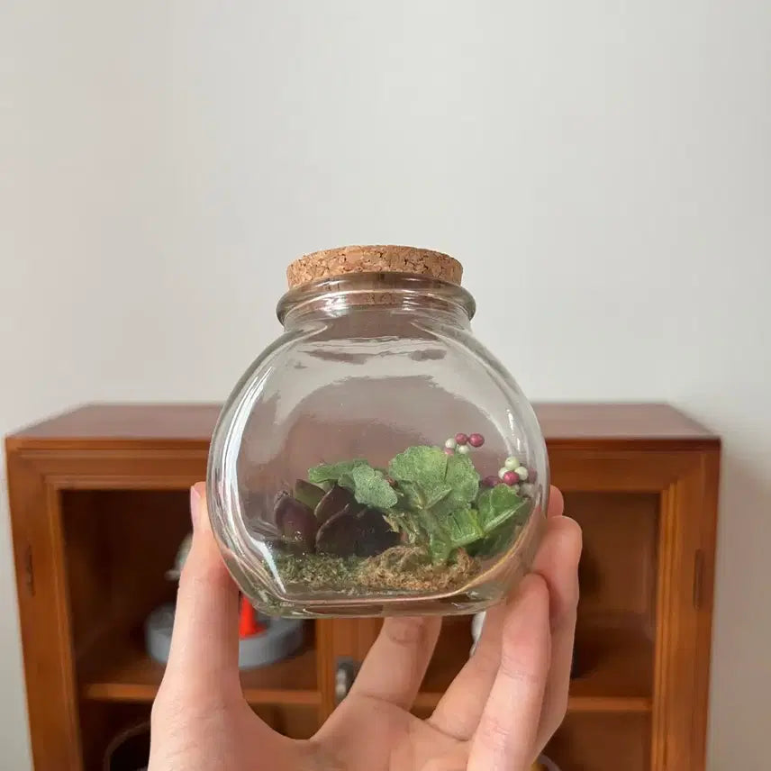 [BUNJANG] Rilakkuma Terrarium Figure / 리락쿠마 테라리움 피규어